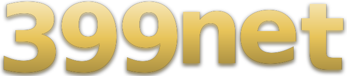 399net logo